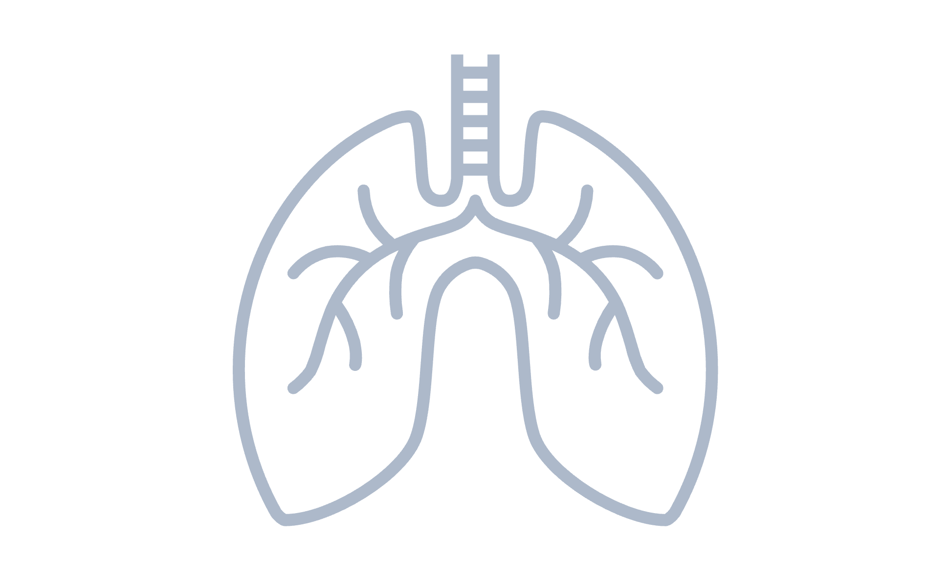 lung 
