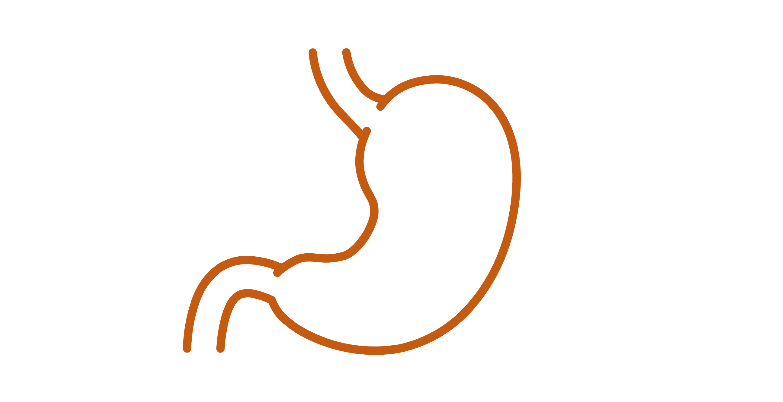 GI 